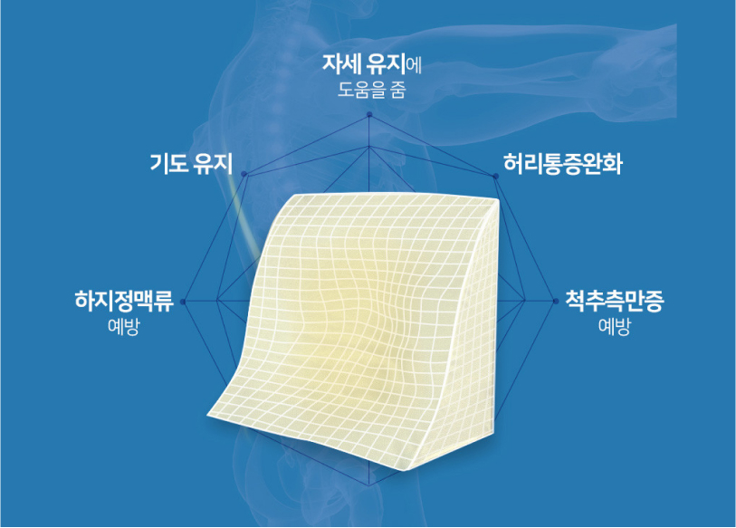 3D 인체 밀착형 디자인